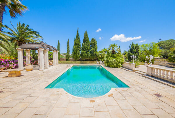 Luxury Villa - Ref No 000239 - Image 3
