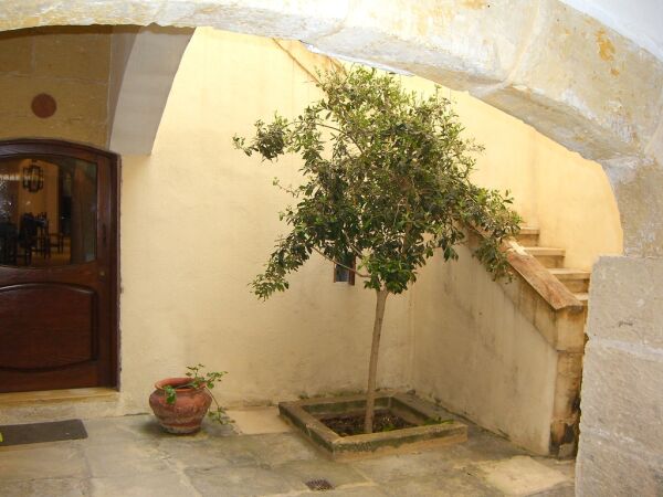 Mosta, Furnished House of Character - Ref No 000410 - Image 5